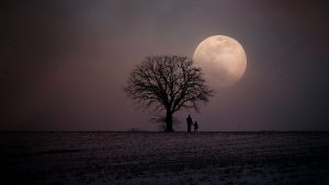 Carsten Vonnoh Blog Väterexperte 4 Arten von Vätern in Trennung